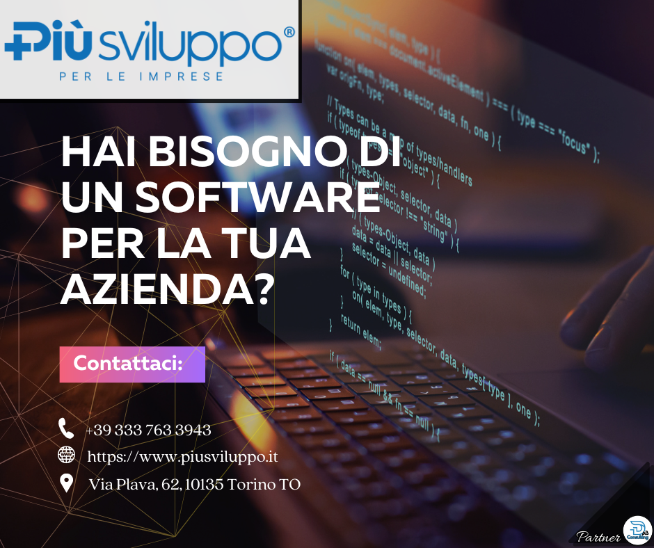 Sviluppo Software Dedicati con Più Sviluppo di Torino